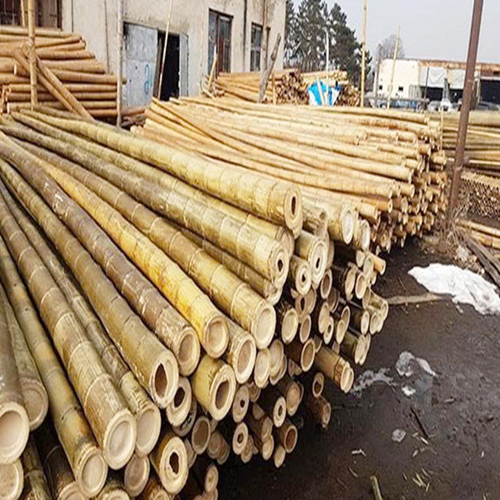 TRÚC SƠ CHẾ CHỐNG MỐI MỌT 3M (ĐƯỜNG KÍNH 2-3 CM)